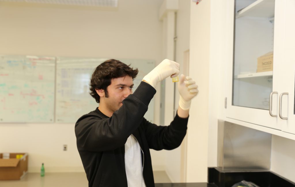 Man examining a test tube